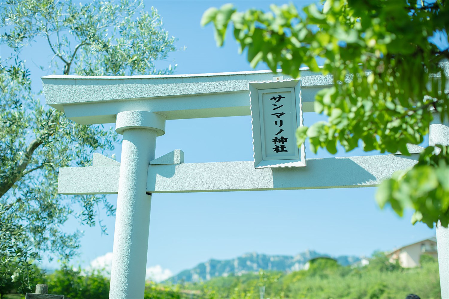 翡翠大珠用の化粧箱 10